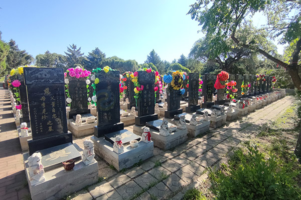 2026年沈阳墓园大全深度对比解析:陵园环境、墓地价格、公墓服务与选择指南 2026年沈阳墓园大全深度对比解析:陵园环境、墓地价格、公墓服务与选择指南