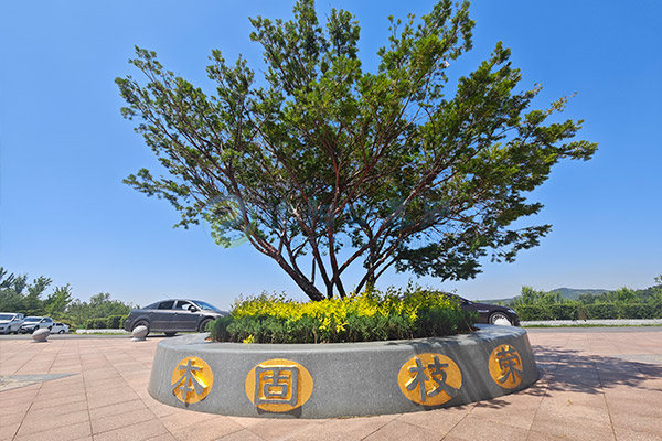 龙福山公益纪念园 龙福山公益纪念园