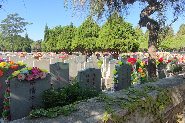 2026年沈阳墓园综合排名：回龙岗公墓十大陵园墓地推荐选择指南