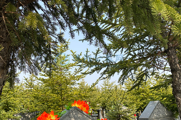 沈阳龙泉古园墓园