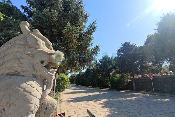 沈阳便宜墓地攻略：万元左右优质墓园选择指南！