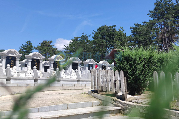 沈阳墓园选择丰富，热门公墓盘点与看墓实用指南