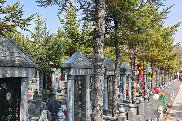 沈阳墓园背山面水环境好的区域在哪 沈阳墓园背山面水环境好的区域在哪
