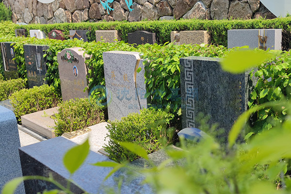 2026年国庆佳节,沈阳综合实力强的墓园推荐:口碑好、资质全的陵园公墓一文看懂! 2026年国庆佳节,沈阳综合实力强的墓园推荐:口碑好、资质全的陵园公墓一文看懂!