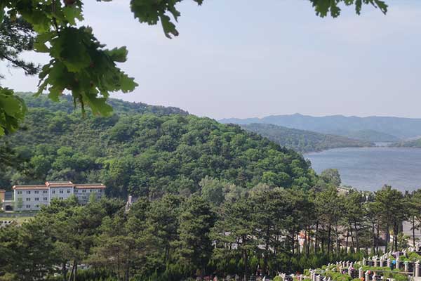 大河贝墓园价格 大河贝墓园价格