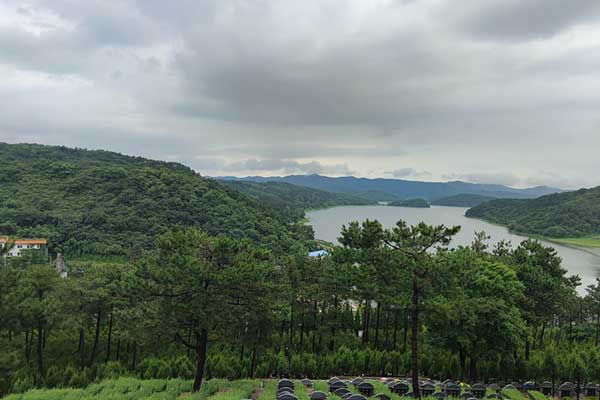 大河贝墓园 大河贝墓园