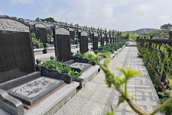 沈阳圣龙泉 沈阳圣龙泉