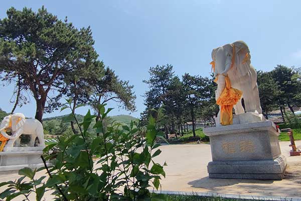 盘龙墓园 盘龙墓园