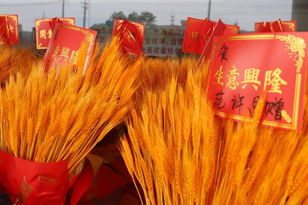 辽宁世纪兴做网站公司盘点指南核查四大核心维度 辽宁世纪兴做网站公司盘点指南核查四大核心维度
